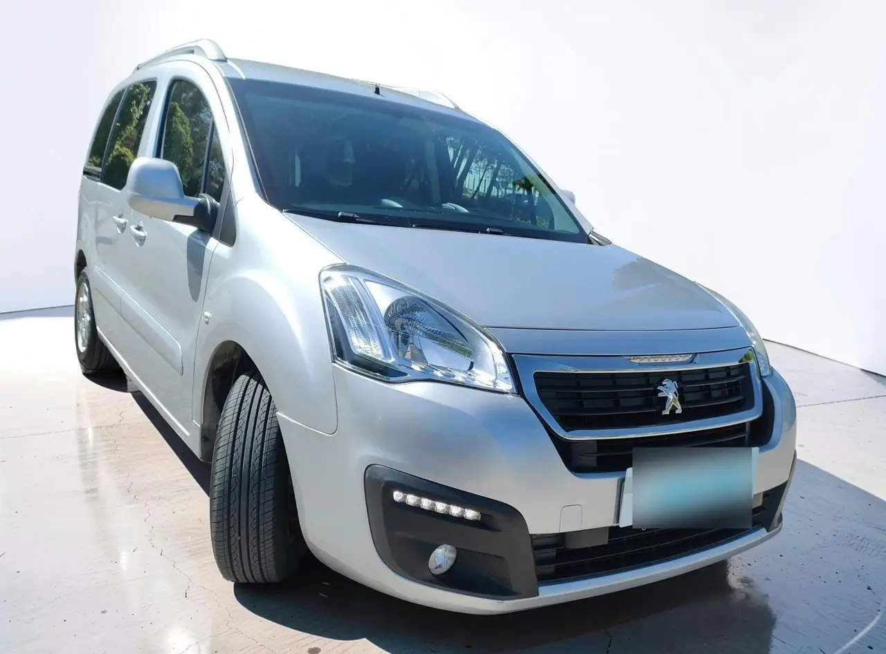 Peugeot Partner Tepee Active 1.6 BlueHDi 100